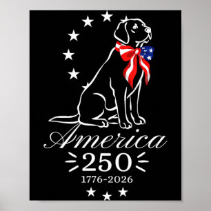 Poster 250º aniversário labrador retriever américa 250