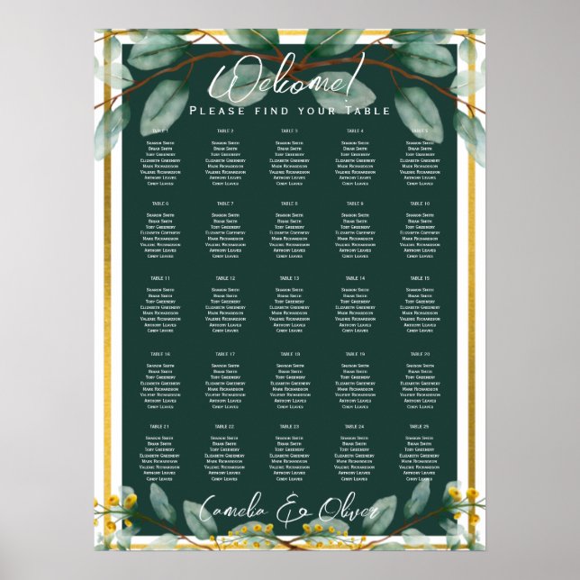Poster 25 Mesa Verde Sai do Orçamento Gráficos de Lugares (Frente)