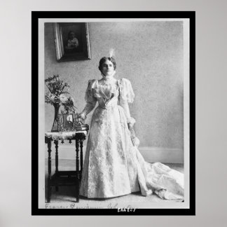 Poster 27 Retrato Sra. McKinley