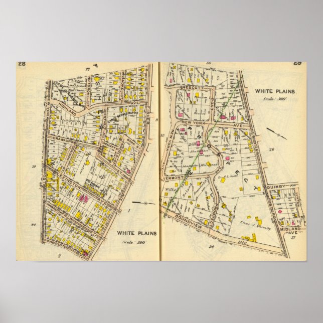 Póster 28-29 White Plains (Frente)