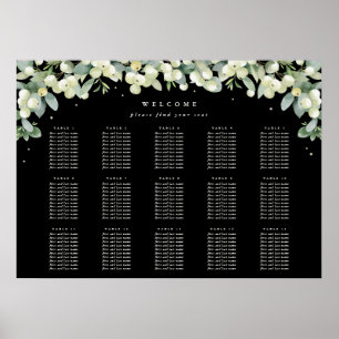 Poster 28x20" 15 Mesa de 10 Gráficos