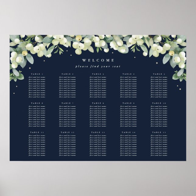 Poster 28x20" 15 Mesa de 10 Gráficos (Frente)