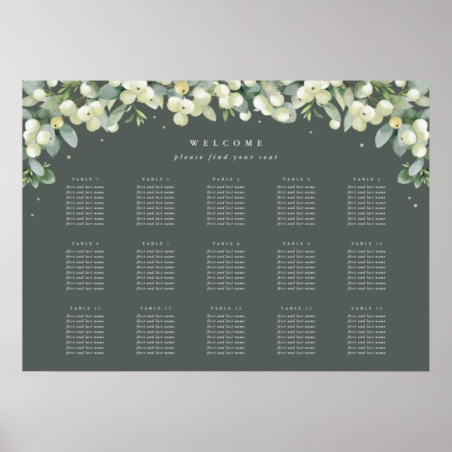 Poster 28x20" 15 Mesa de 8 placas (Frente)