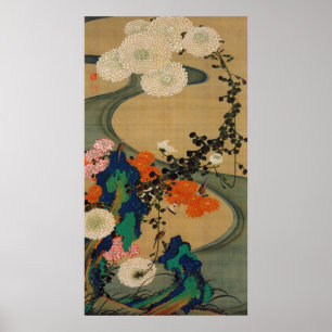 Póster 29. 菊花流水図, crisântemo do 若冲 & córr