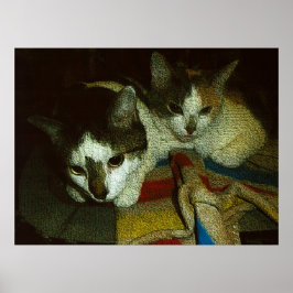 Poster 2 Gatinhos Curiosos