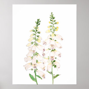 Poster 2 luvas brancas flores tinta florada e água