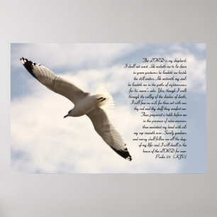 Póster 2ó Verso bíblico do salmo com a gaivota de mar