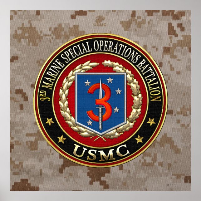 POSTER 3º MSOB [3D] (Frente)