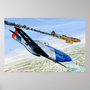 Póster 352nd MUSTANG de FG P-51
