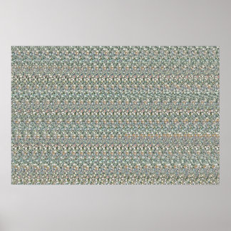 Póster 36" x 24" "Financial Vision" 3D Magic Eye®
