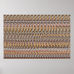 Póster 36" x 24" "Puppies Playing" 3-D Magic Eye®