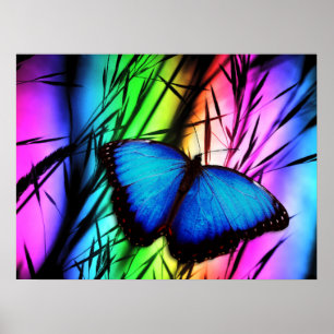 PÓSTER 370729 RAINBOW DIGITAL BUTTERFLY REALISM