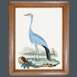 Poster 3 0f 6, Conjunto de 6 pinturas Audubon do Século X