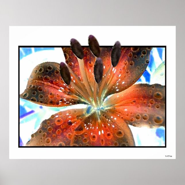 Póster 3-D Art Lilie (Frente)