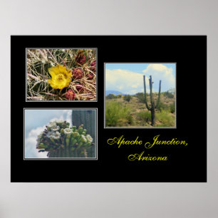 Poster 3 fotos de Apache Junction,impressão de Az