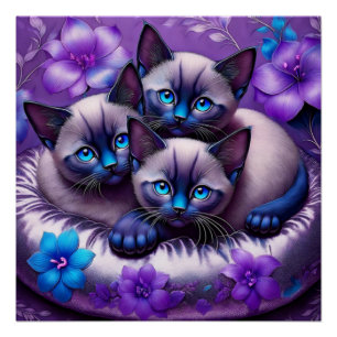 Póster 3 Gatinhos Siameses Flores Roxas Travesseiro