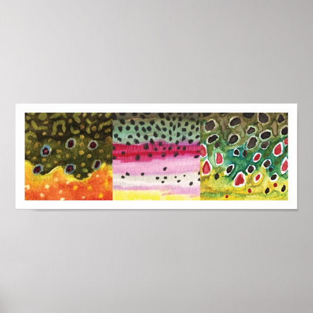 Poster 3 Peles De Trutas: Brook, Arco-Íris, Castanho - Pe (Frente)