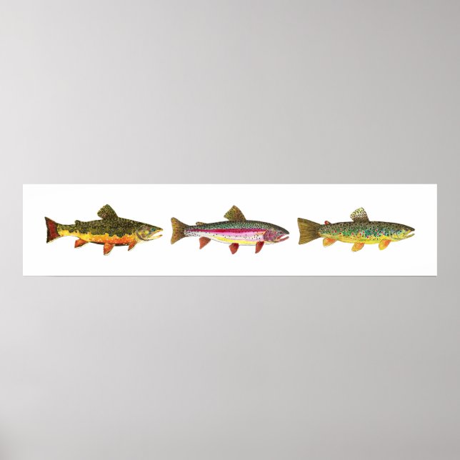 Póster 3 Trouts - Brook, Brown, Rainbow Long Hoirzontal (Frente)