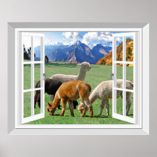 Poster 3D Falso Janela Exibir Alpaca Llama Wall Art