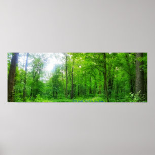 Poster 3poster da floresta branca do lago