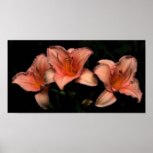 Poster 3raparigas (Frente)