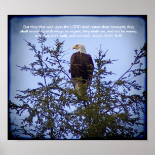 Poster 40:31 de Isaiah