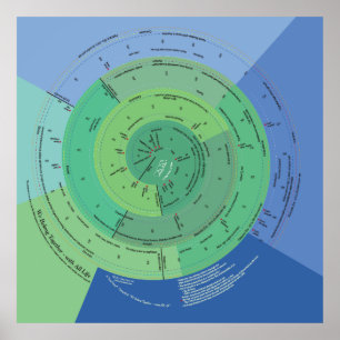Póster 40x40 Pertencemos a toda a vida