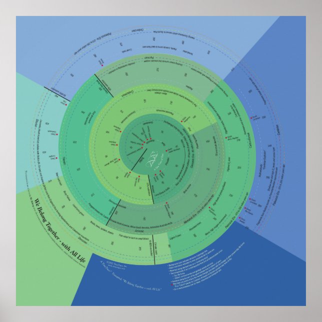 Póster 40x40 Pertencemos a toda a vida (Frente)