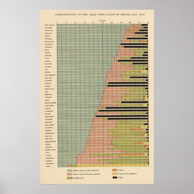 Póster 45 Constituintes da população masculina 1900 (Frente)