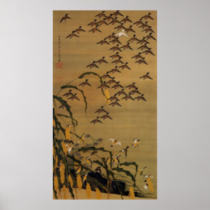 Poster 4. 秋塘群雀図, rebanho dos pardais, Jakuchū