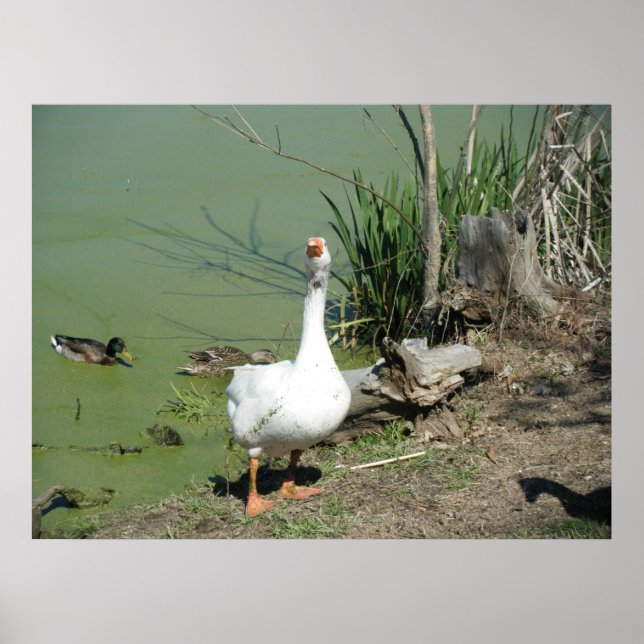 Póster 4 de março (62) Canvas (Frente)