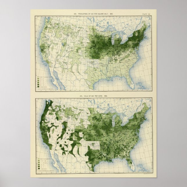 Póster 53 Hay 1890 (Frente)