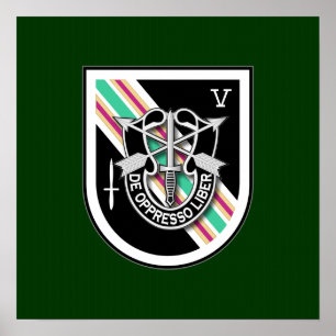 Póster 5o SFG-A 6 TFD