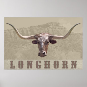 Poster -60x40 do país de Longhorn - outros