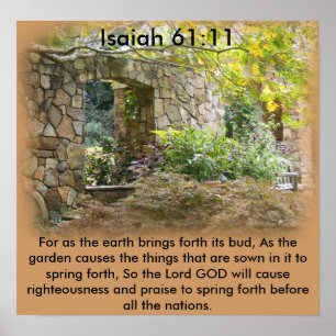 Póster 61:11 de Isaiah