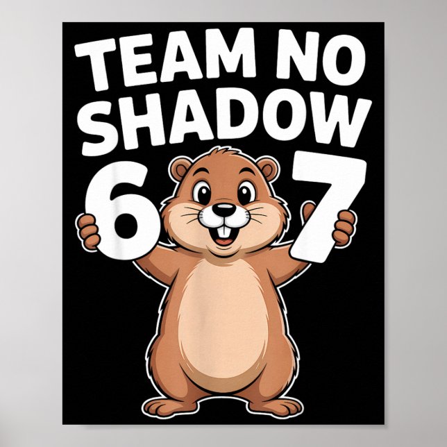 Poster 67 Equipe Sem Sombra Dia da Marmota 6-7 Meme Menin (Frente)