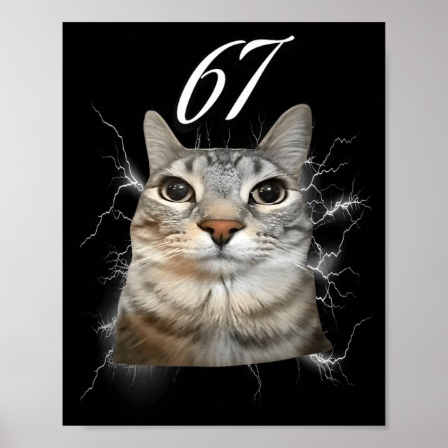 Poster 67 Meme Cat Howling At Moon Brainrot Funny 6 7  (Frente)