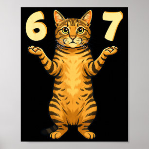 Poster 67 Meme de Gato Engraçado Gíria Humor da Geração A