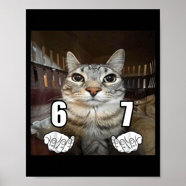 Poster 67 Meme Gato Engraçado Six Seven Meme 6 7  (Frente)