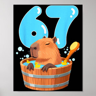 Poster 67 Seis Sete Capivara Divertida Adolescentes Capiv