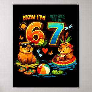 Poster 6 no próximo ano serei 7 capivara 67 meme aniversá