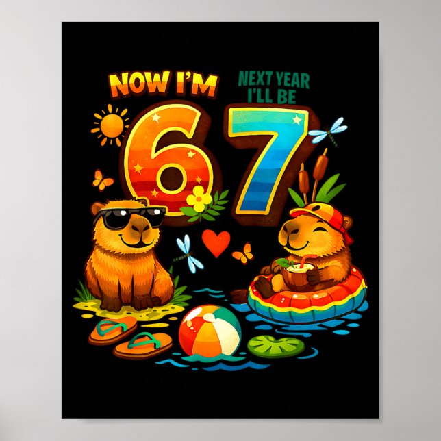 Poster 6 no próximo ano serei 7 capivara 67 meme aniversá (Frente)