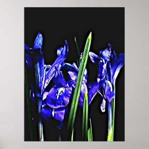 Póster 72" colossal x 52" e 52" x 72" arte de Giclée