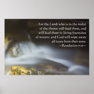 Póster 7:17 da revelação