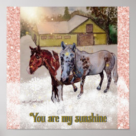 Poster 7 & Nokomis você é meu sol