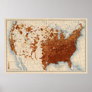 Póster 80 Proportion illiterates Negro voters