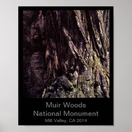 Poster 8x10 - Cor do Monumento Nacional de Muir Woods (Es