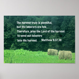 Póster 9:37,38 de Matthew