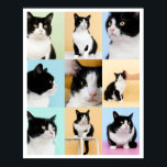 Poster 9 Photo Modern Collage Cat Dog<br><div class="desc">Um moderno poster de colagem de 9 fotos personalizado pronto para você carregar suas fotos favoritas de seu gato ou cachorro. Linda moldura ou não moldada. Arte original ©Marisu Valencia</div>