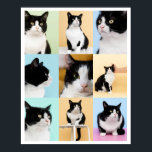 Poster 9 Photo Modern Collage Cat Dog<br><div class="desc">Um moderno poster de colagem de 9 fotos personalizado pronto para você carregar suas fotos favoritas de seu gato ou cachorro. Linda moldura ou não moldada. Arte original ©Marisu Valencia</div>